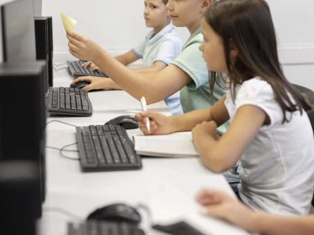 Programare în C++ – EduCat
